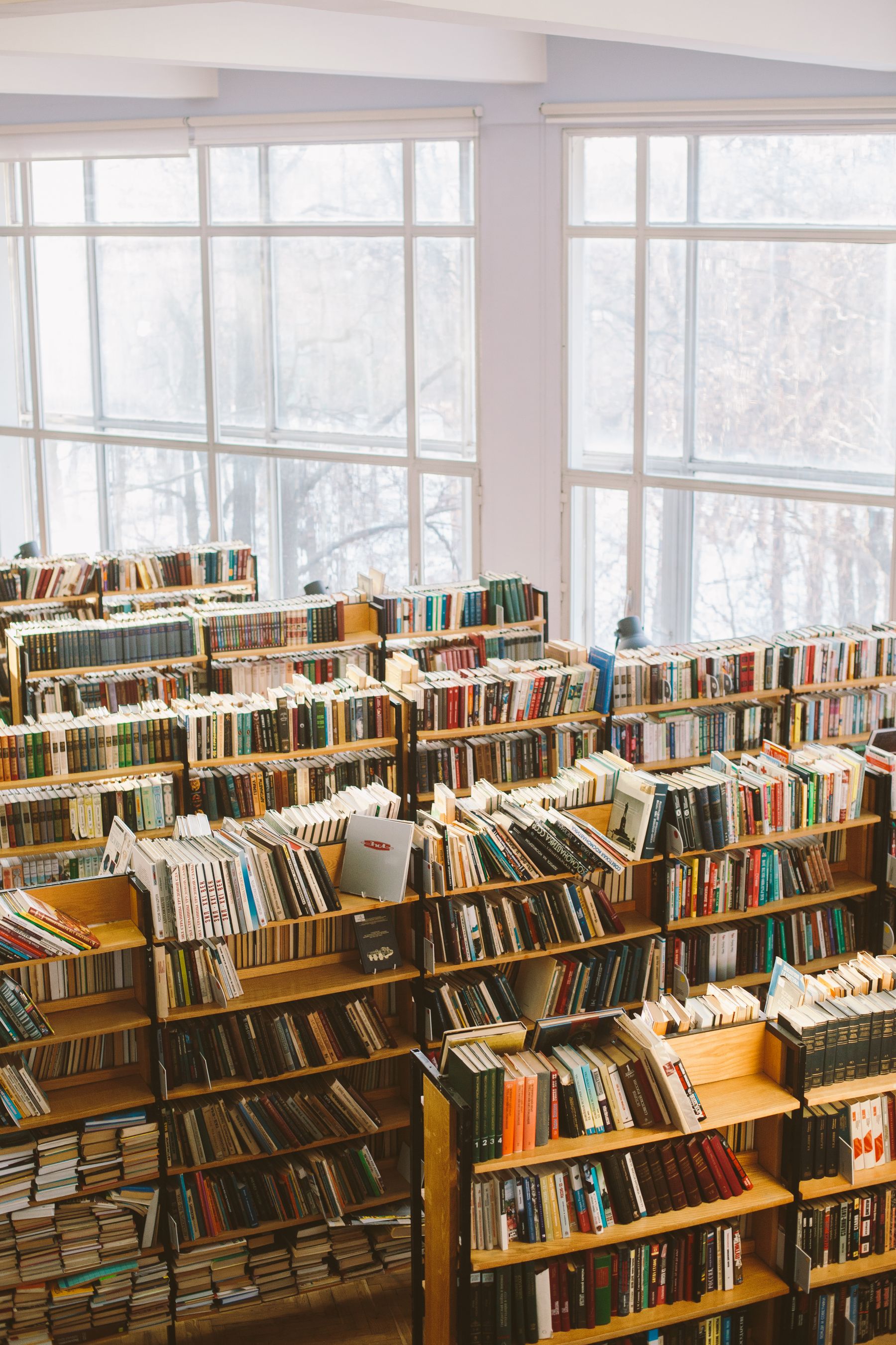 Bücherregale vor hohen Fenstern
